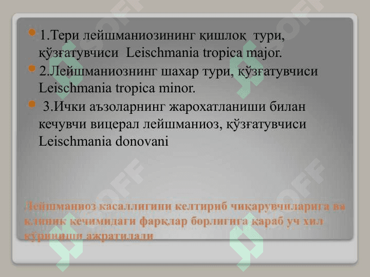 LEYSHMANIOZ 3