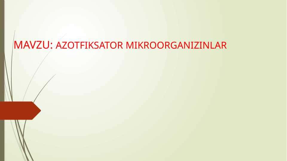 AZOTFIKSATOR MIKROORGANIZINLAR