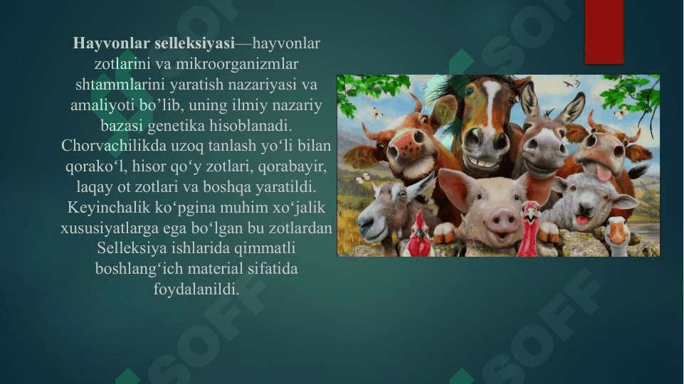 hayvonlar seleksiyasi 3