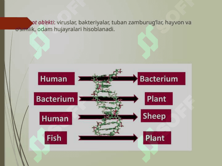 Gen muhandisligi 4
