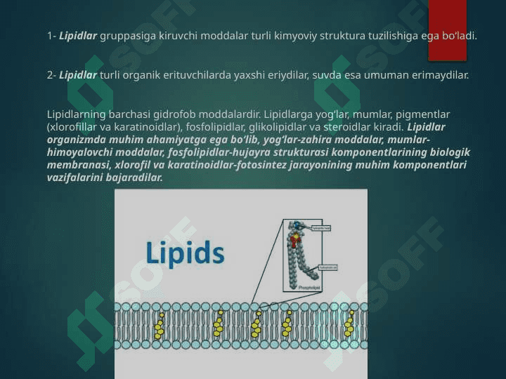 Lipidlarning katabolizmi 3