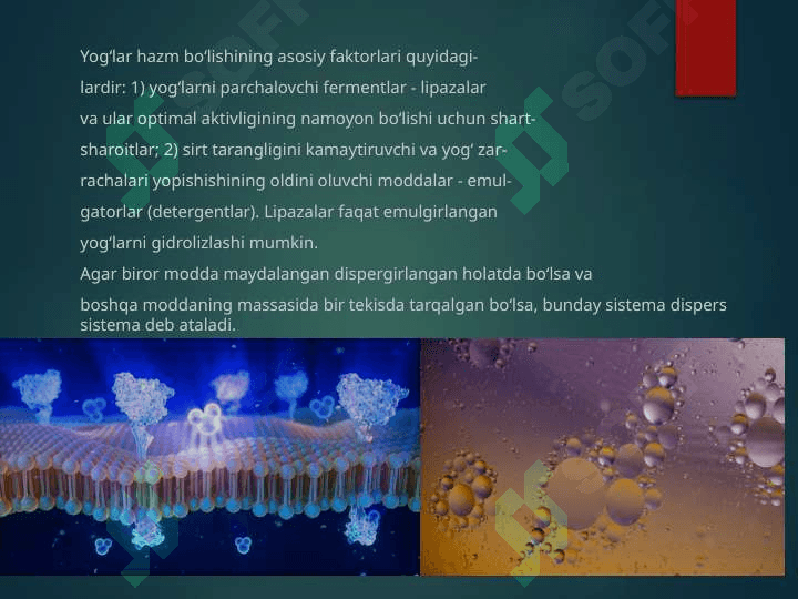 Lipidlarning katabolizmi 4