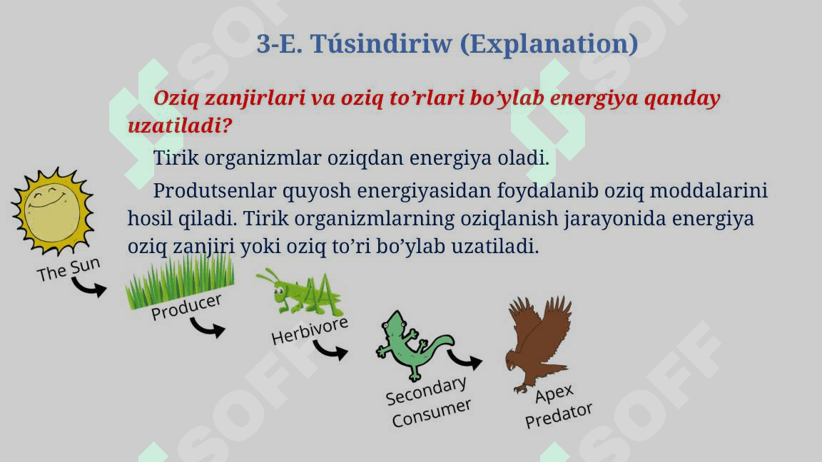 Energiya va zaharli moddalar oqimi_5E 6