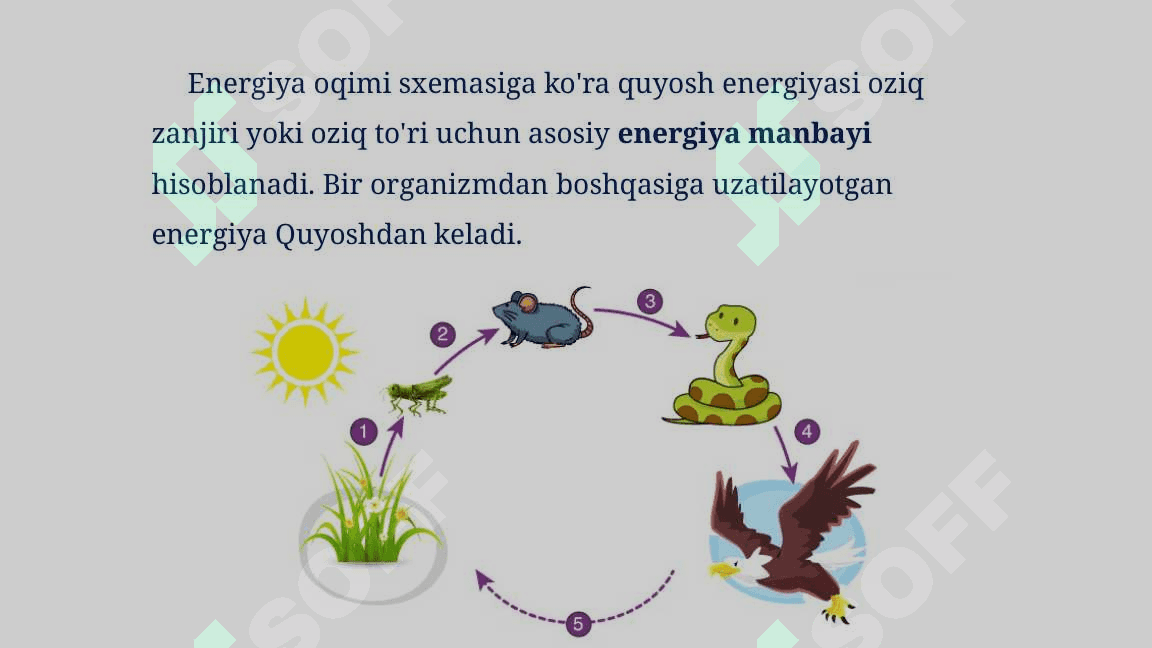 Energiya va zaharli moddalar oqimi_5E 8