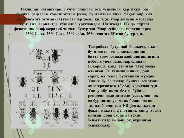 Аллел ва ноаллел генлар 6