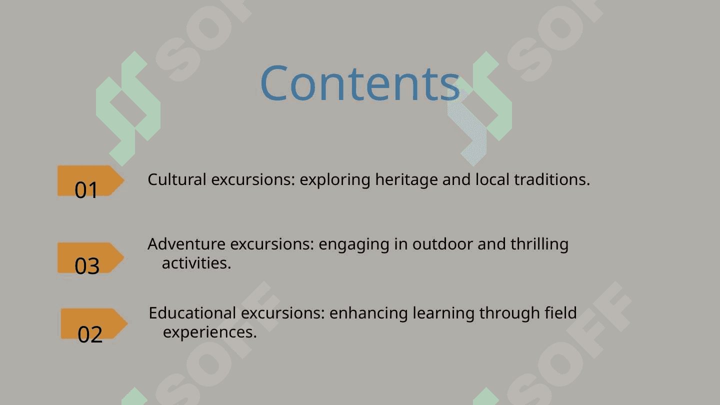 Types of excursion 2