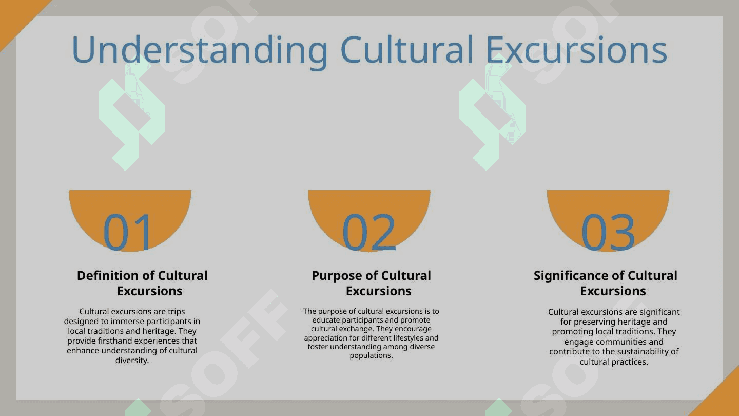 Types of excursion 3