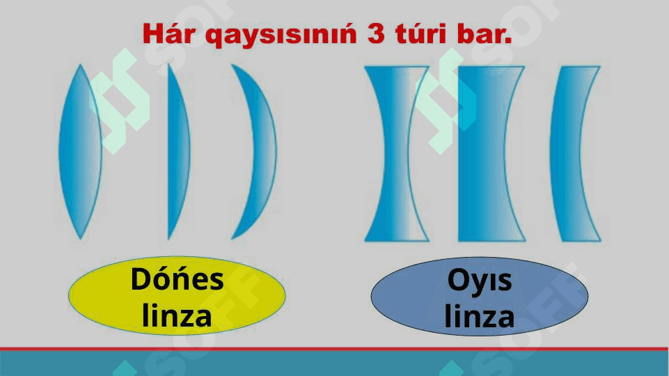 Linza 7