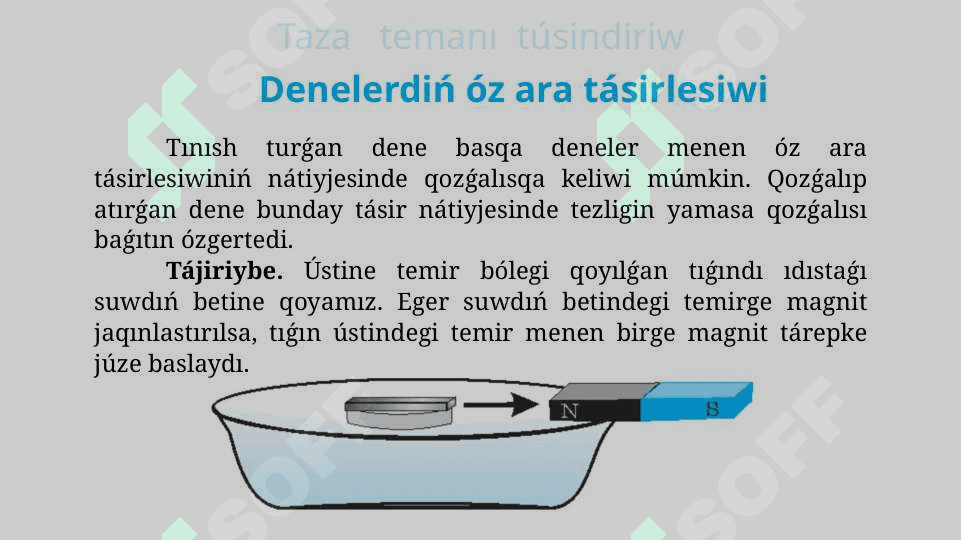 Denelerdiń óz ara tásirlesiwi. Kúsh 3