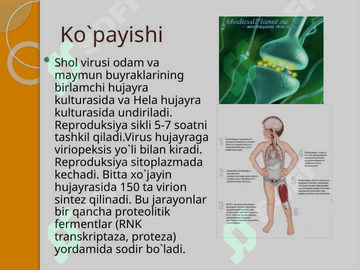 POLIOMIYELIT VIRUSI 4