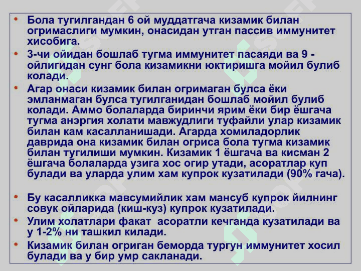 КИЗАМИК 6