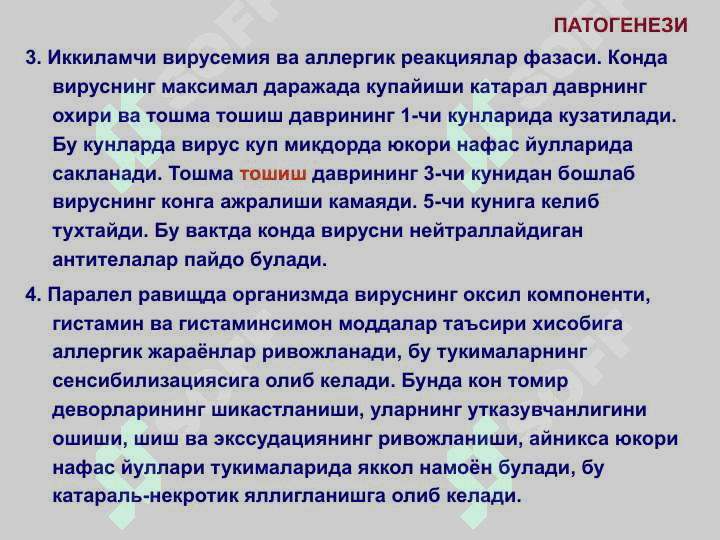 КИЗАМИК 8