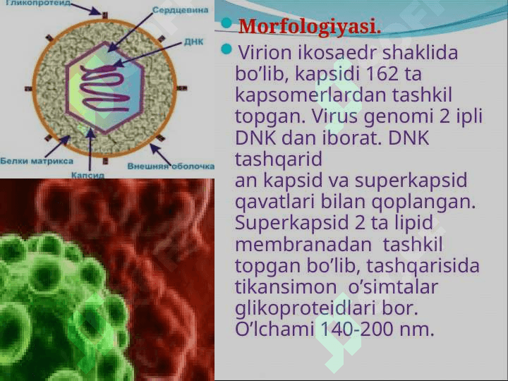 Suvchechak Ko’kyo’tal 3