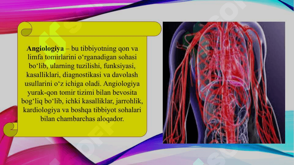 Angiologiya asoslari (TAQDIMOT) 3
