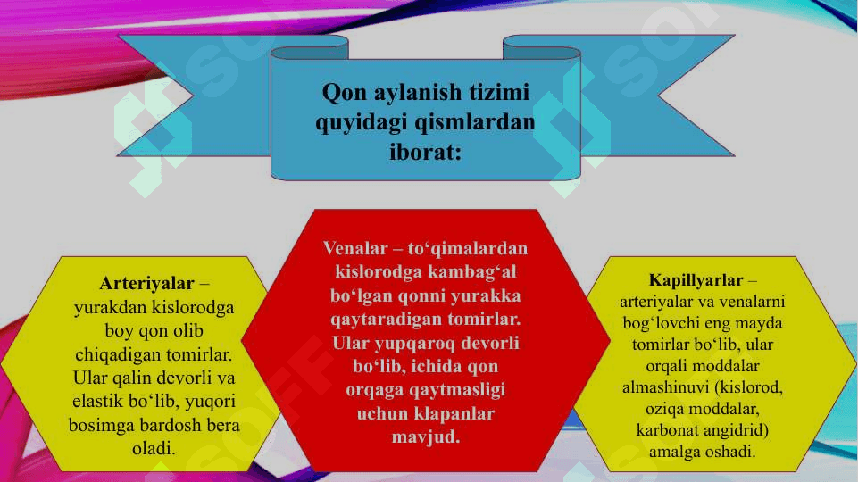 Angiologiya asoslari (TAQDIMOT) 4