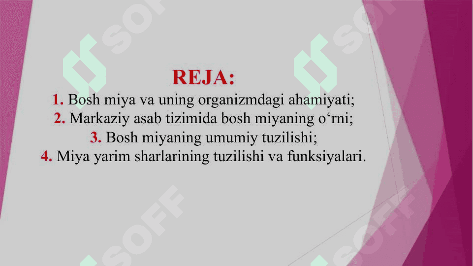 Bosh miyaning tuzilishi (TAQDIMOT) 2
