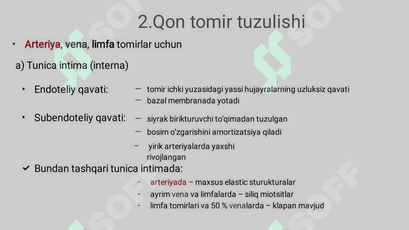 Yurak qon-tomir sistemasi gistalogiyasi 4