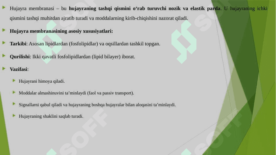 HUJAYRA MEMBRANASI 3