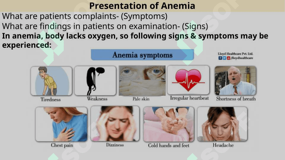 Hematology anemia 6