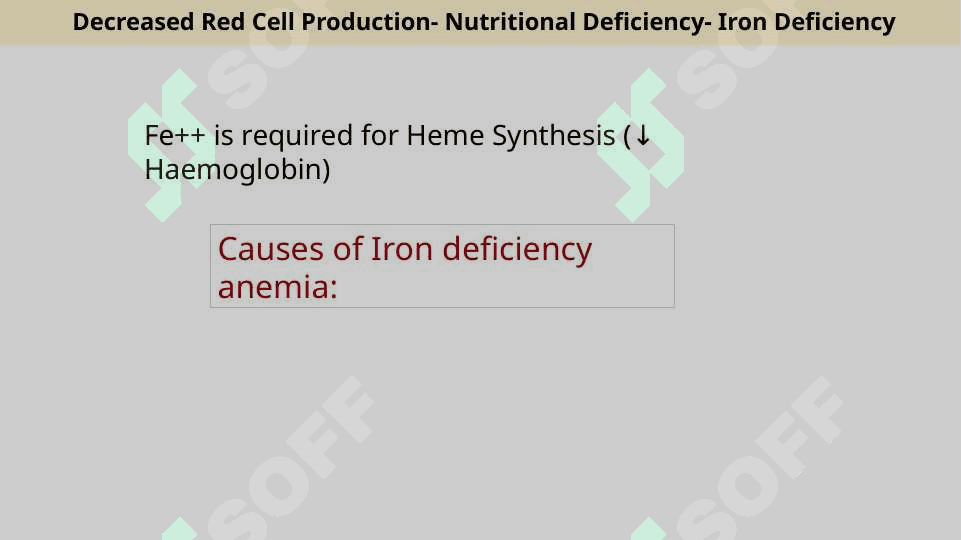 Hematology anemia 7