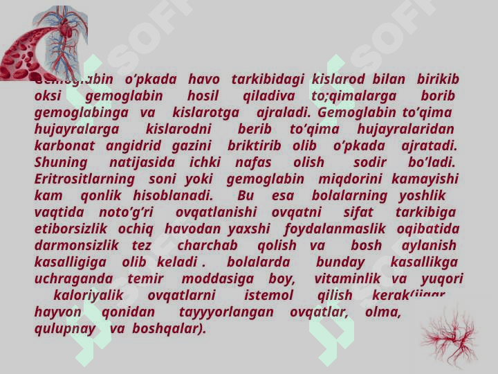 Qon aylanish sistemasi 4