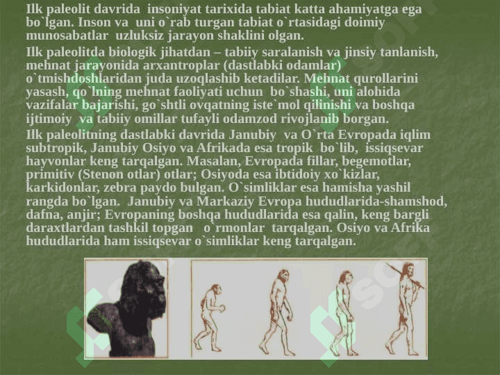 O‘ZBEKISTONNING IBTIDOIY TO‘DA DAVRI TARIXI 7