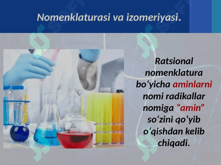 Aminlar va aromatik aminlar 4