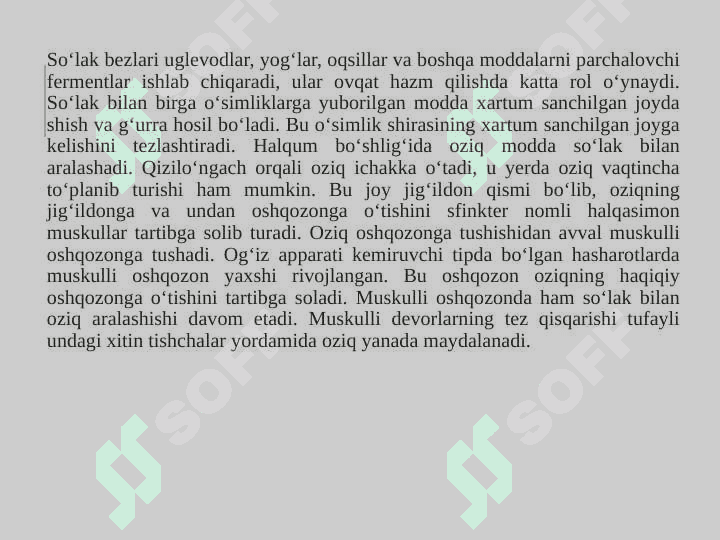 Hasharotlarning ichki tuzilishi 4