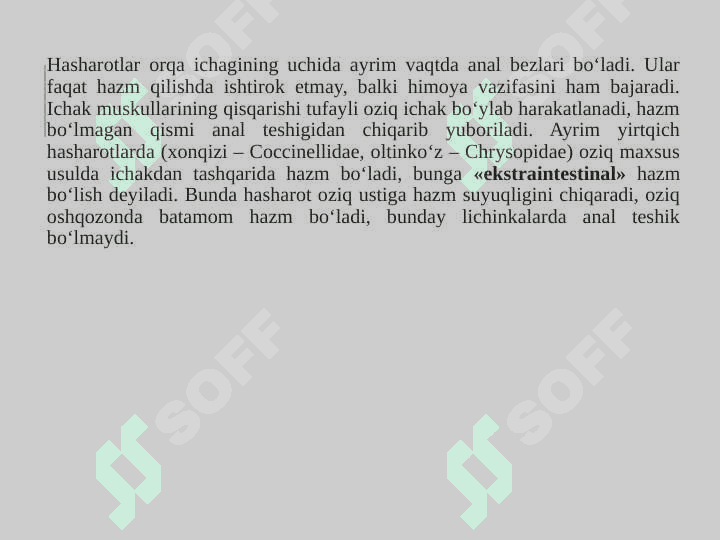 Hasharotlarning ichki tuzilishi 8