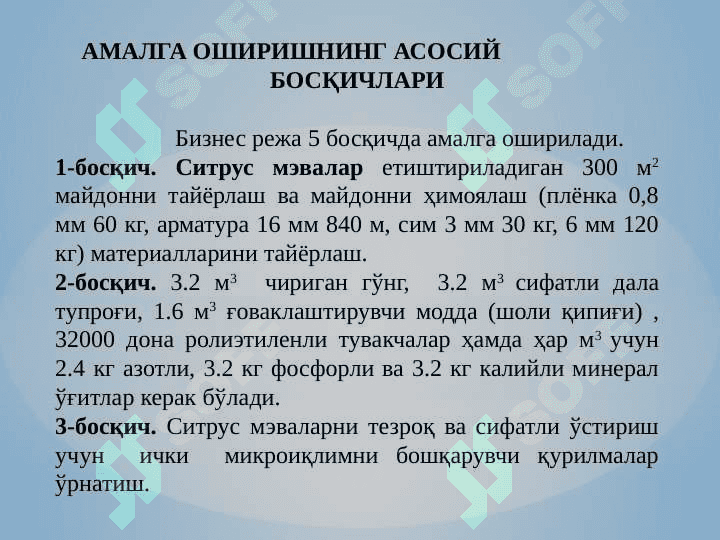 Ситрос мевалар 6