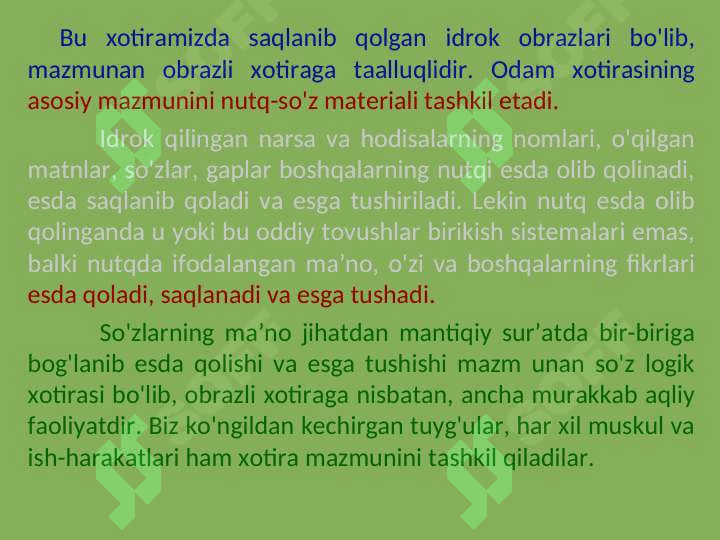 XOTIRA 5