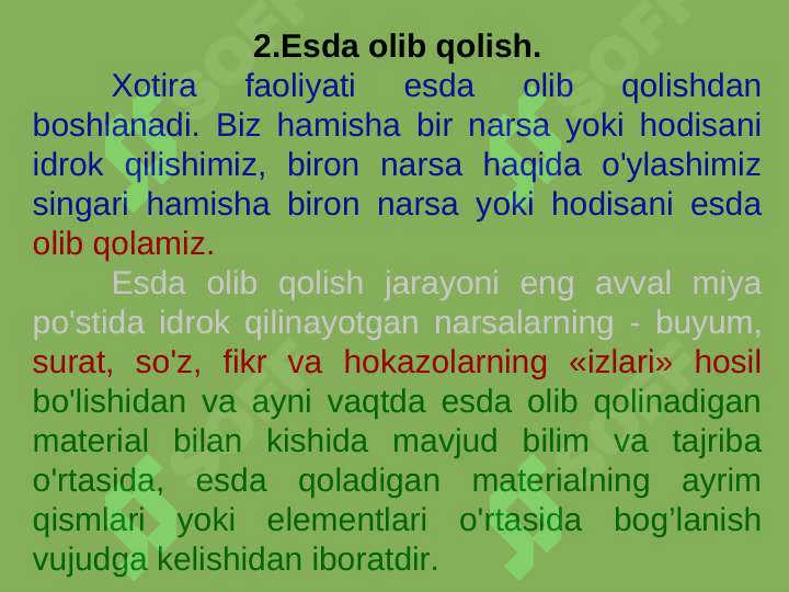 XOTIRA 6