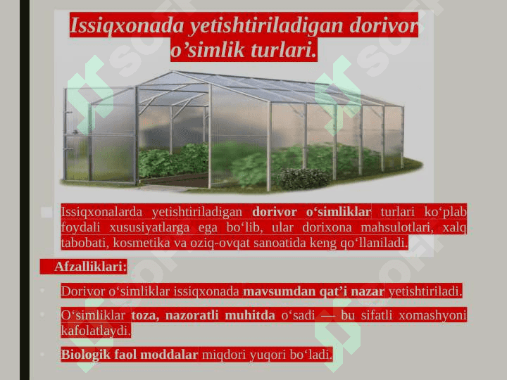 ISSIQXONA DORIVOR O‘SIMLIKLARINI YETISHTIRISH TEXNOLOGIYASI 6