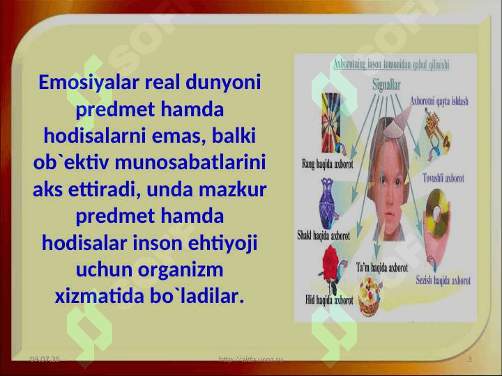 Hissiyot haqida tushuncha 3