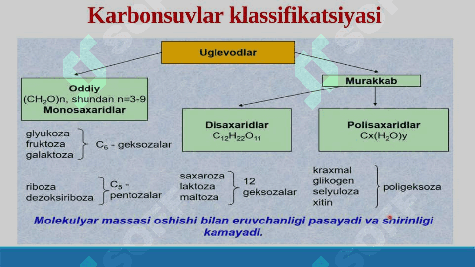 Karbonsuvlarning tuzilishi va funksiyalari 6