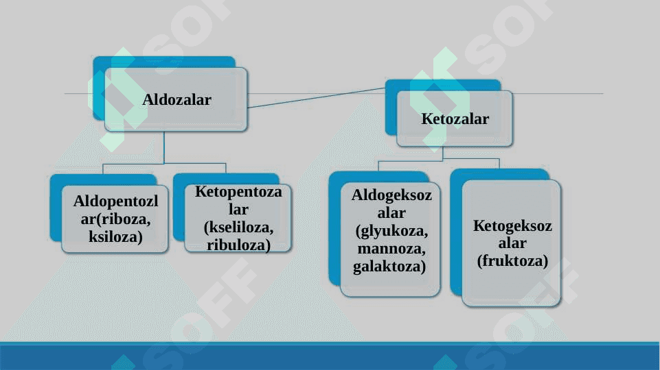 Karbonsuvlarning tuzilishi va funksiyalari 8