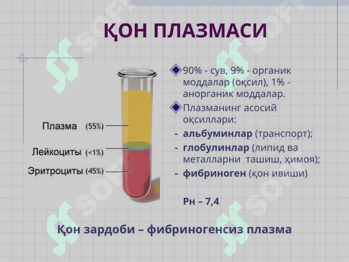 ҚОН ва ЛИМФА 8