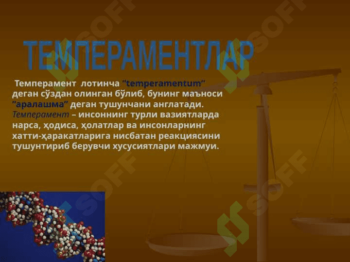 ТЕМПЕРАМЕНТ 3
