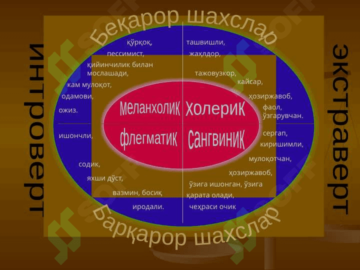 ТЕМПЕРАМЕНТ 7
