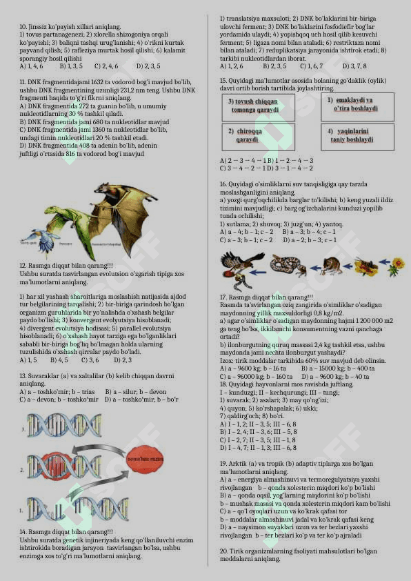 Varian 1 (2025 2026) 2