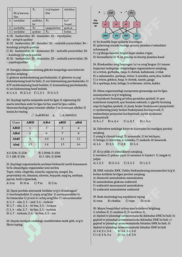 Variant  3 (2025 2026) 2