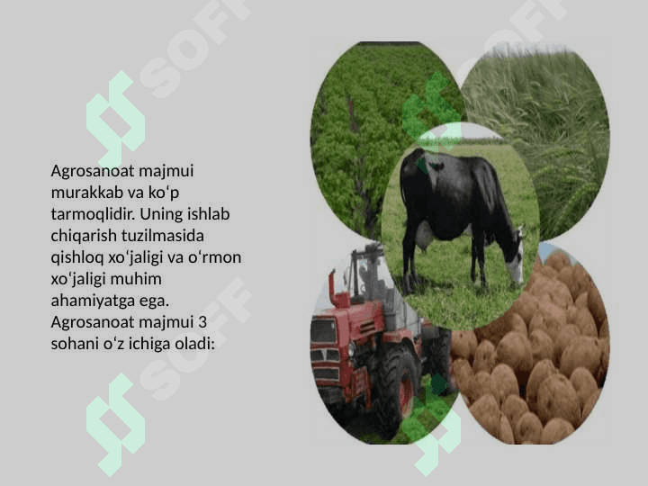 Agrosanoat majmuasi 3