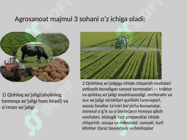 Agrosanoat majmuasi 4