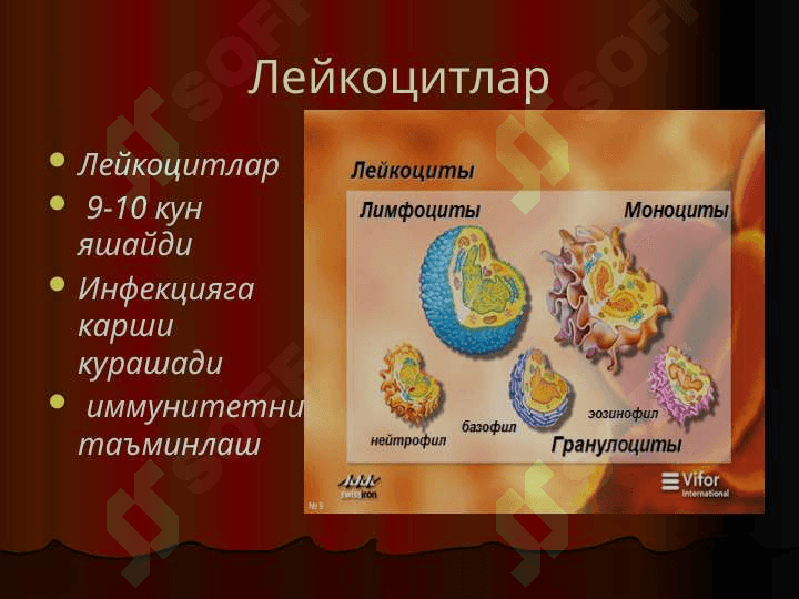 Anemiyalar Анемиялар 5