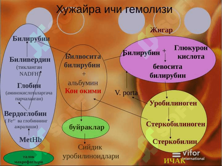 Ирсий Гемолитик анемия 7