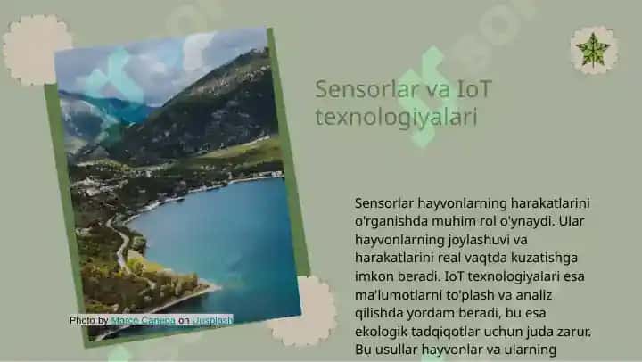 Hayvonlar harakatini o'rganish 5