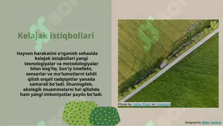 Hayvonlar harakatini o'rganish 8
