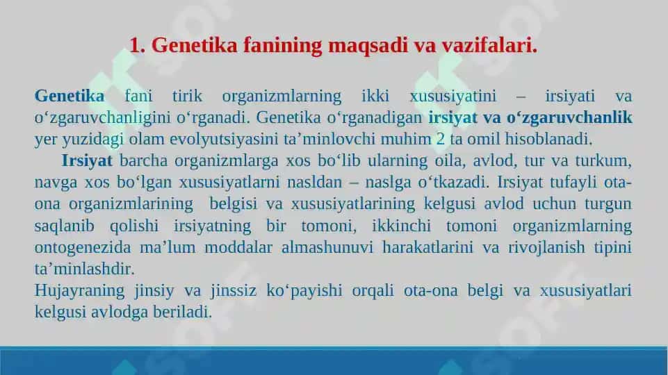 Genetika. Taqdimot 15 bet 2