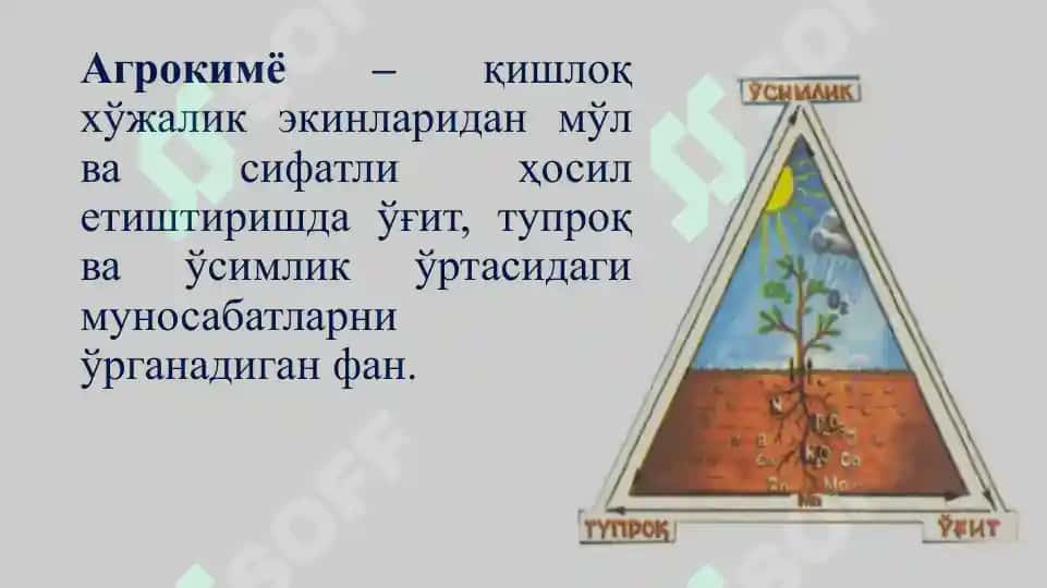 Агрокимё 7