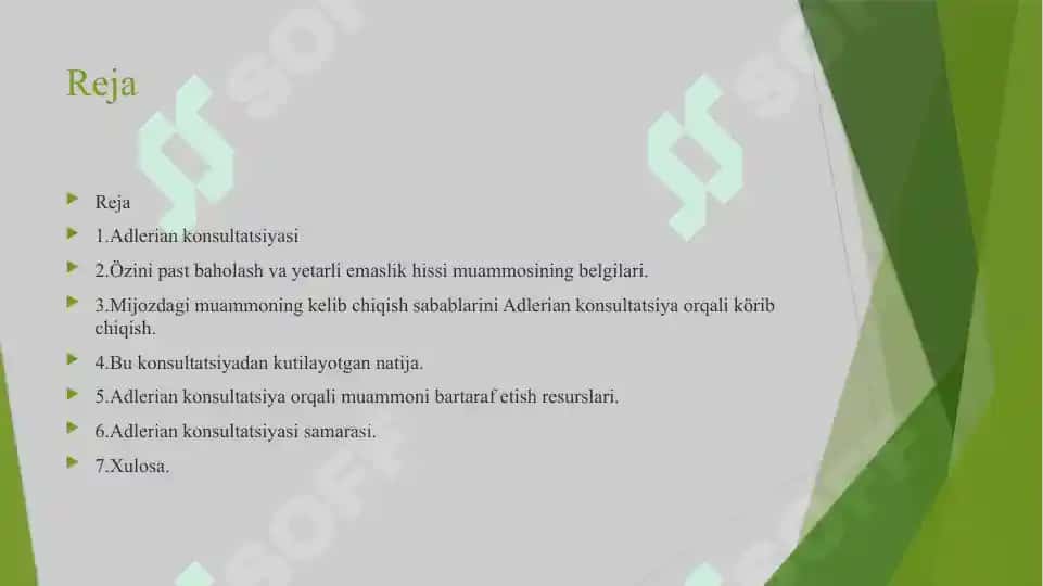 Adlerian konsultatsiyasi 2